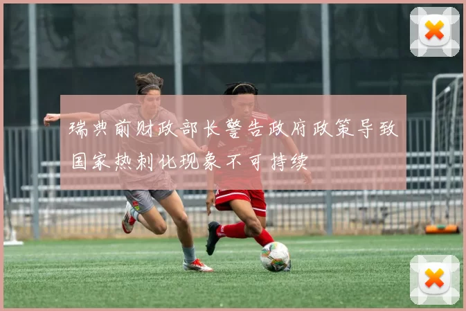 瑞典前财政部长警告政府政策导致国家热刺化现象不可持续